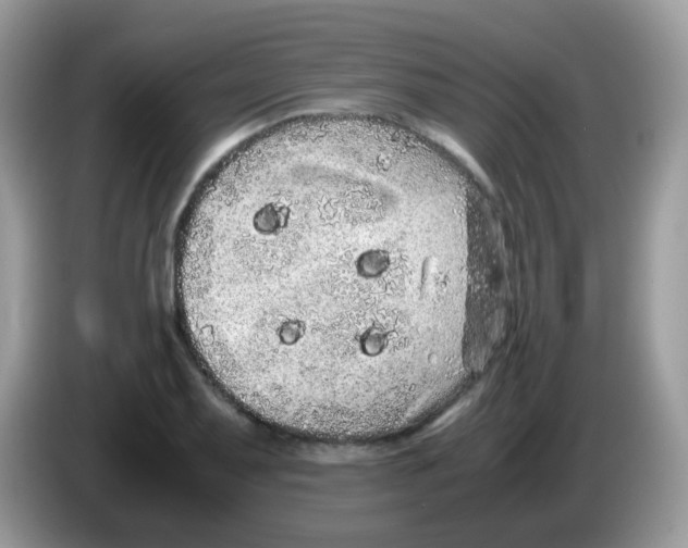 X0000086261079200704261951