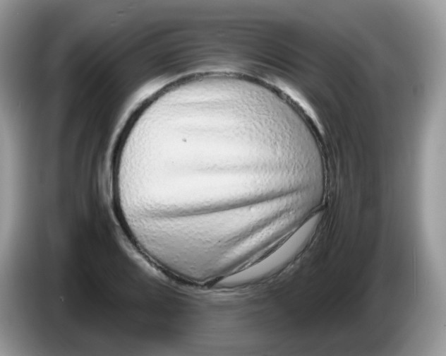 X0000086261080200704261951