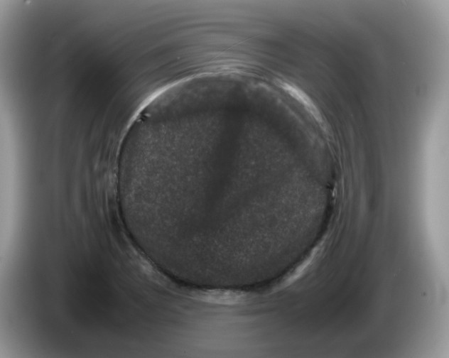 X0000086261081200704261951