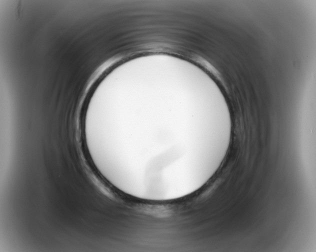 X0000086261082200704261951