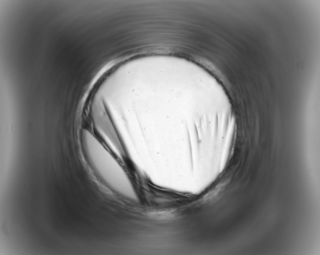 X0000086261083200704261951