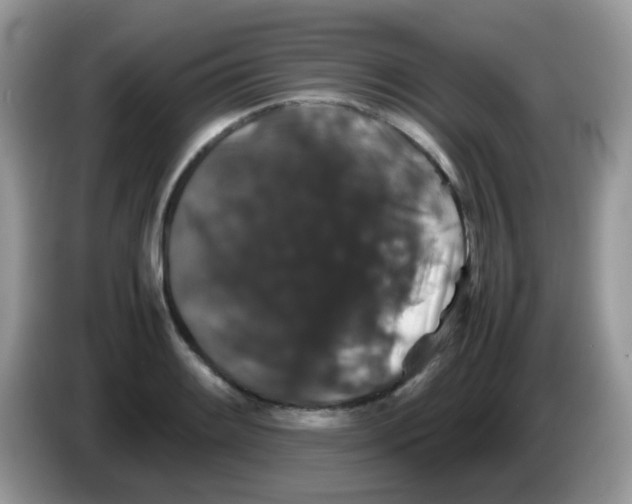 X0000086261084200704261951