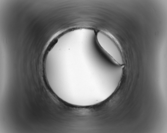 X0000086261085200704261951