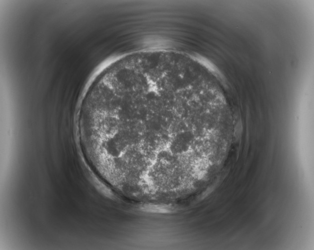 X0000086261086200704261951