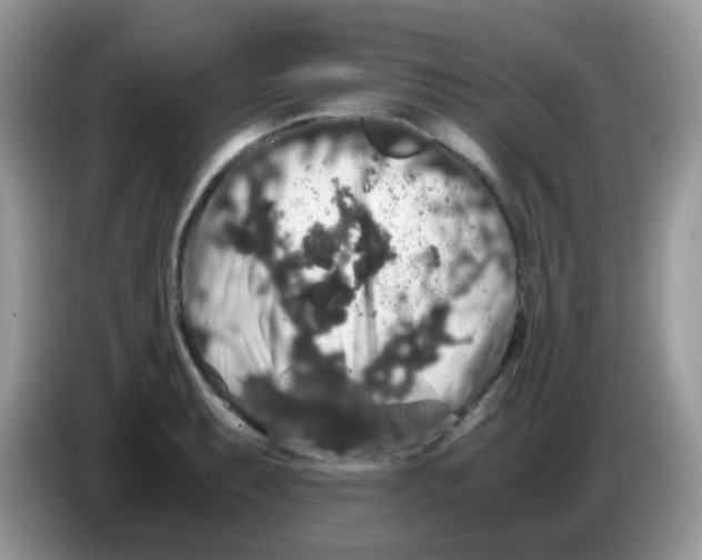 X0000086261087200704261951