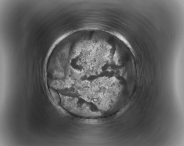 X0000086261088200704261951