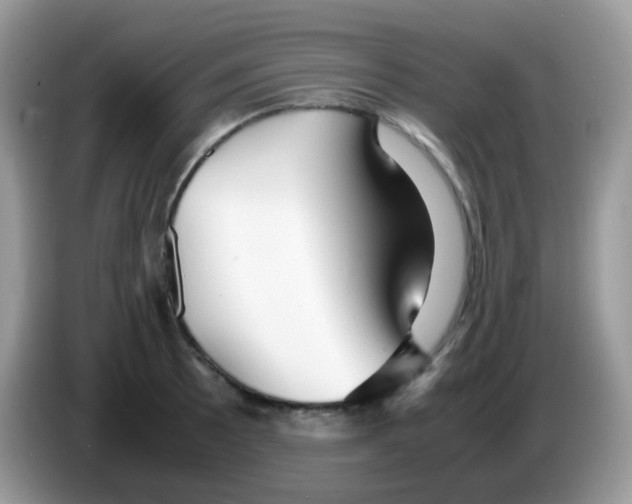 X0000086261089200704261951