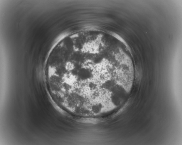 X0000086261090200704261951