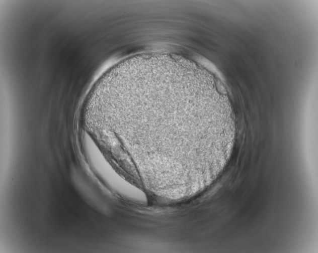 X0000086261091200704261951