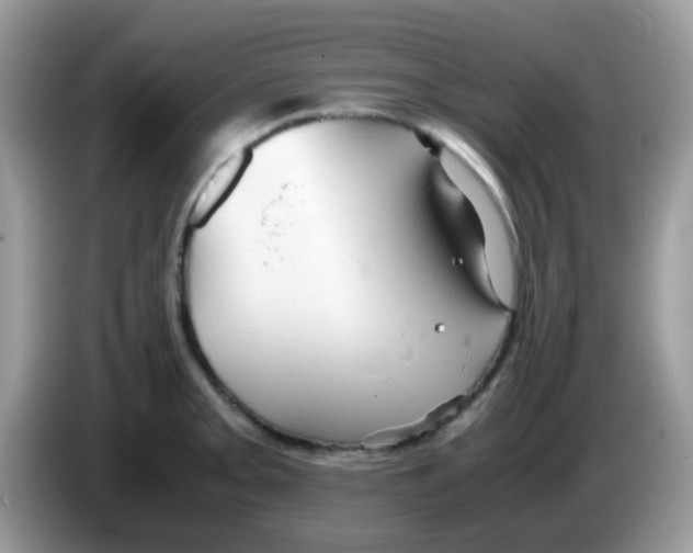 X0000086261093200704261951