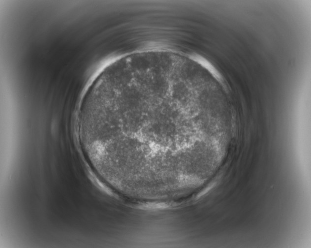 X0000086261094200704261951