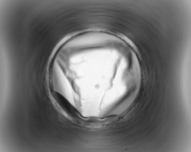 X0000086261096200704261951