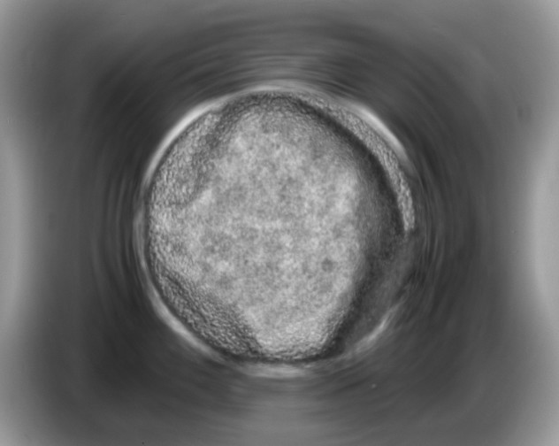 X0000086261100200704261951