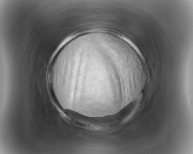 X0000086261101200704261951