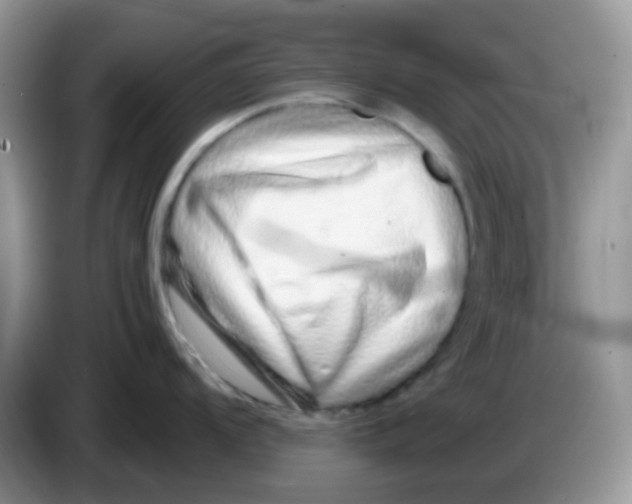 X0000086261104200704261951