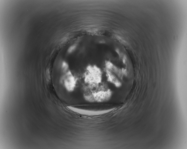 X0000086261106200704261950