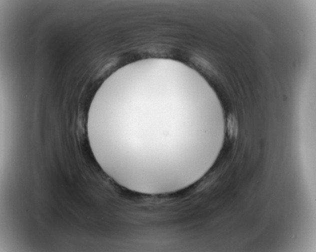 X0000086261107200704261950