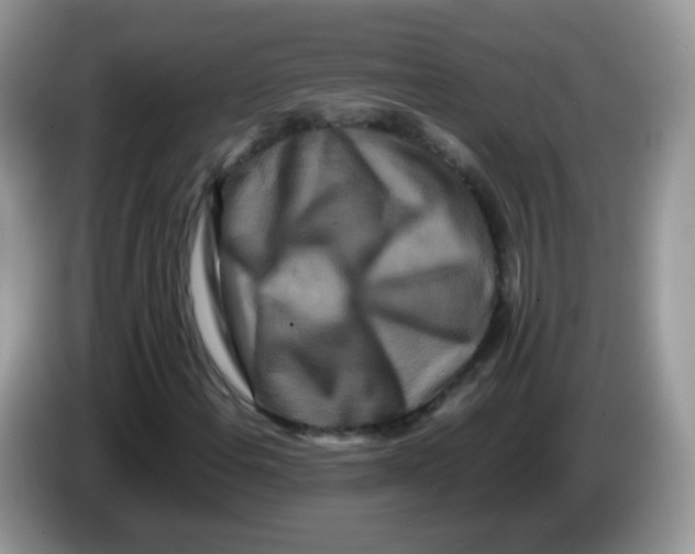 X0000086261108200704261950