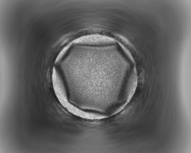 X0000086261110200704261950