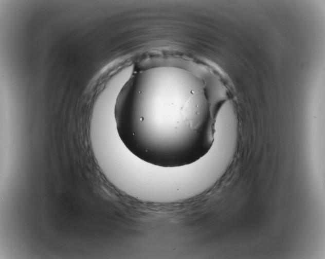 X0000086261112200704261950