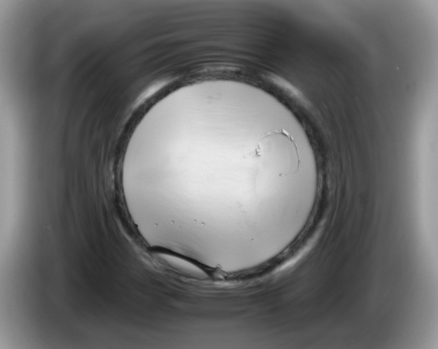 X0000086261113200704261950