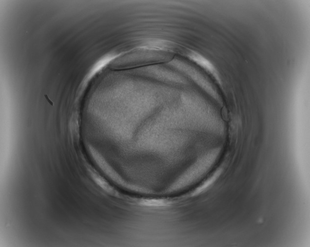 X0000086261114200704261950