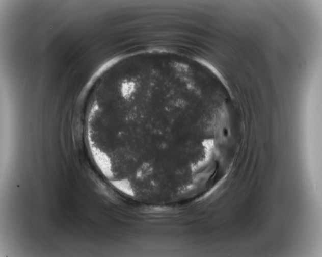 X0000086261115200704261950