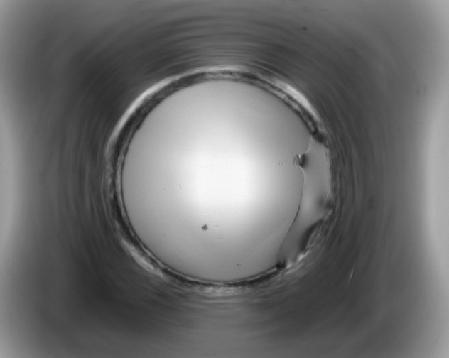 X0000086261116200704261950