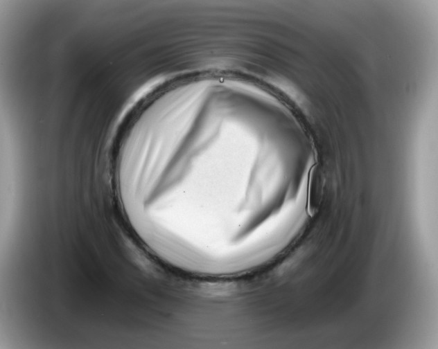 X0000086261118200704261950