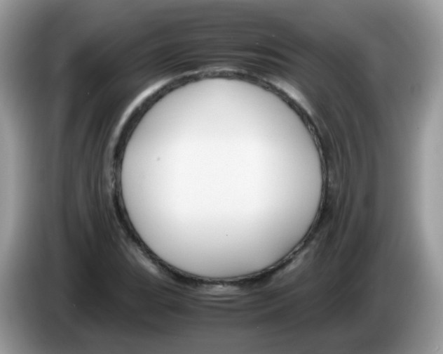 X0000086261119200704261950