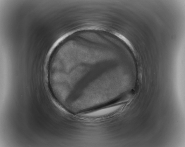 X0000086261120200704261950