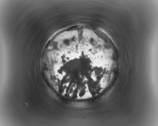 X0000086261121200704261950