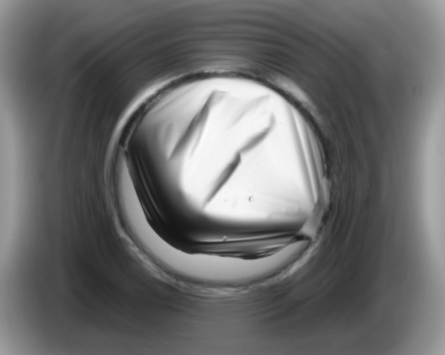 X0000086261122200704261950