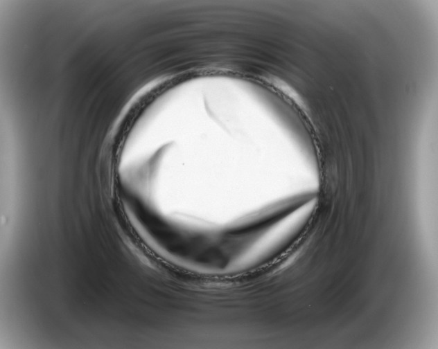 X0000086261123200704261950