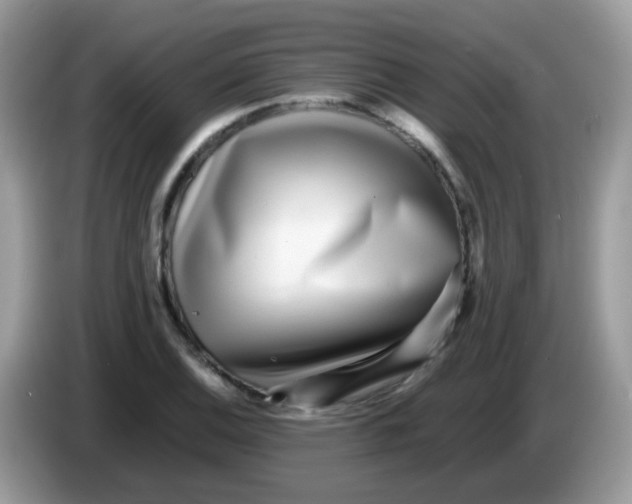 X0000086261124200704261950