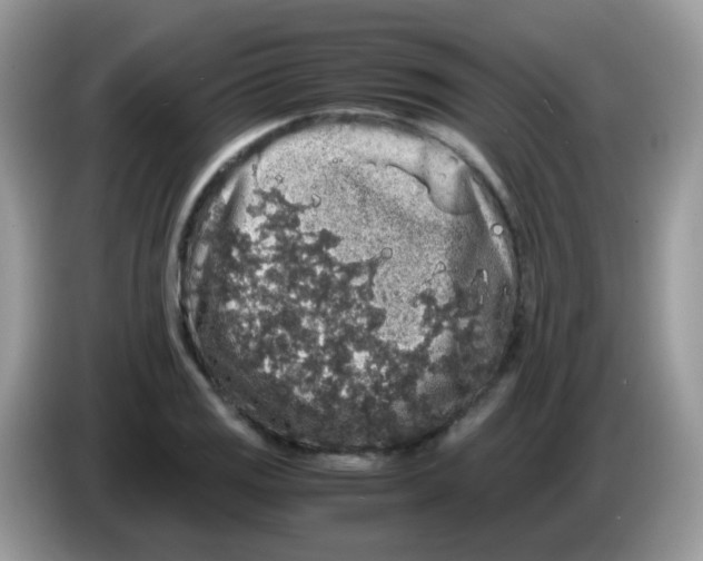 X0000086261125200704261950