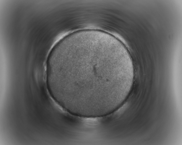 X0000086261126200704261950