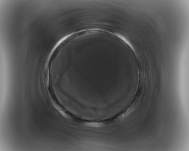 X0000086261127200704261950