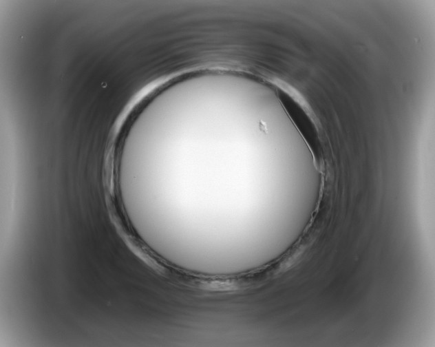 X0000086261128200704261950