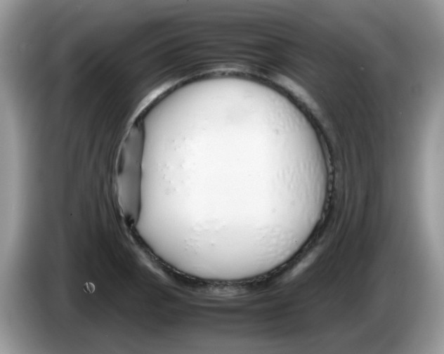 X0000086261129200704261950