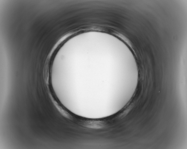 X0000086261131200704261950