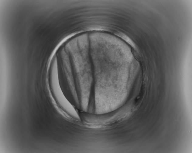 X0000086261132200704261950