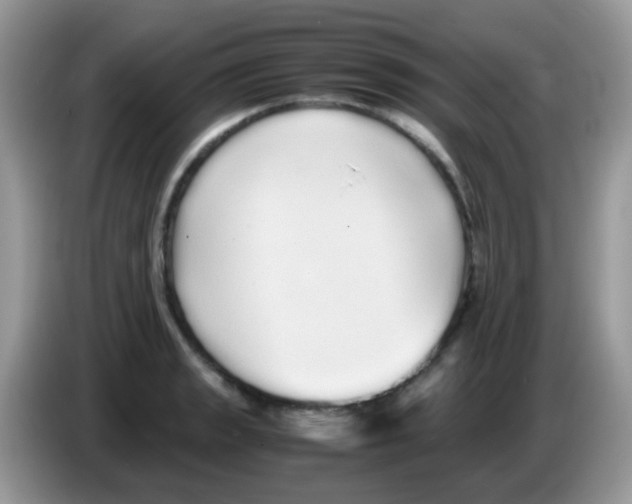 X0000086261133200704261950