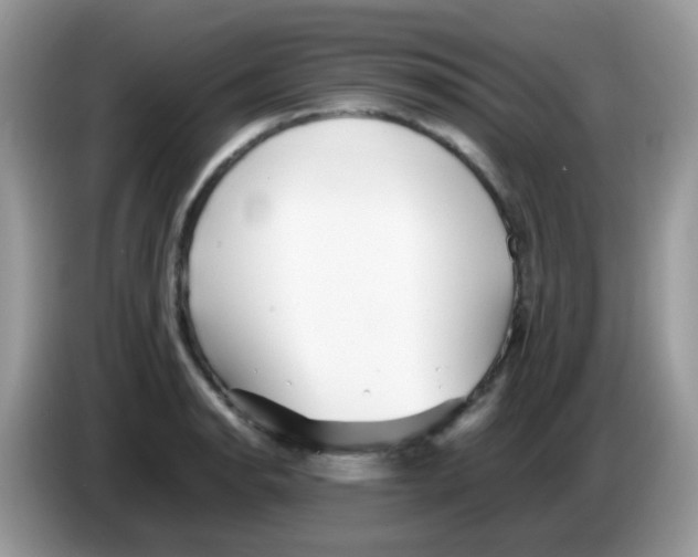 X0000086261134200704261950