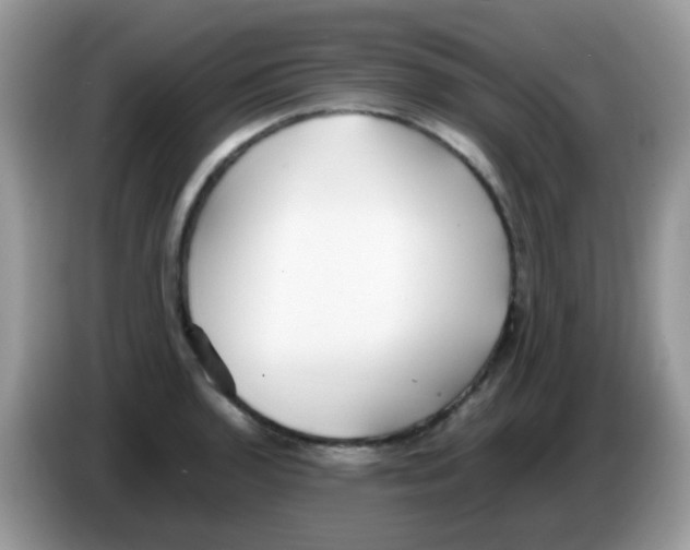 X0000086261136200704261950