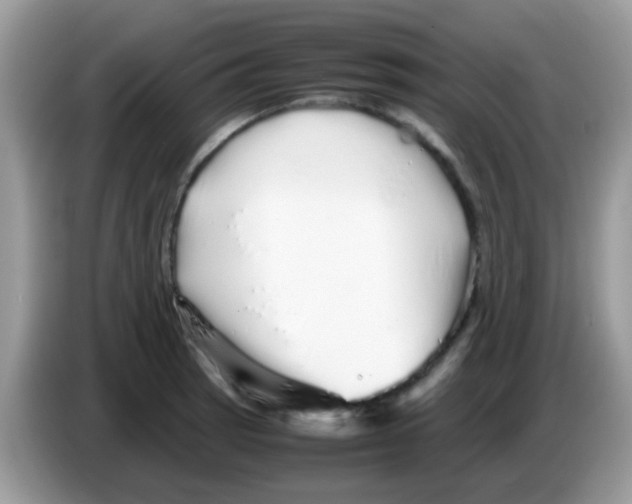 X0000086261137200704261950