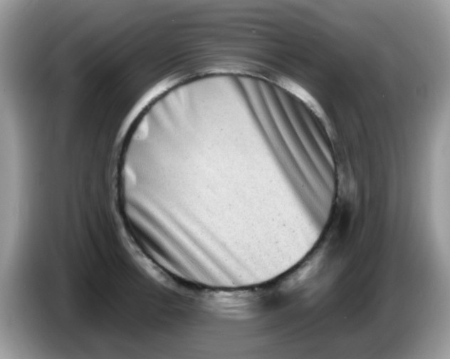 X0000086261138200704261950