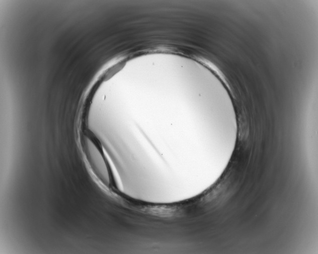 X0000086261139200704261950