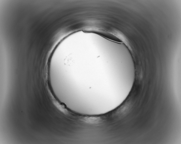 X0000086261140200704261950