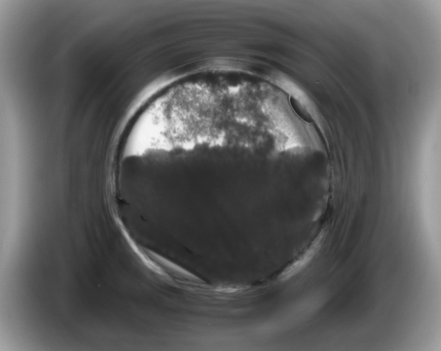 X0000086261141200704261950